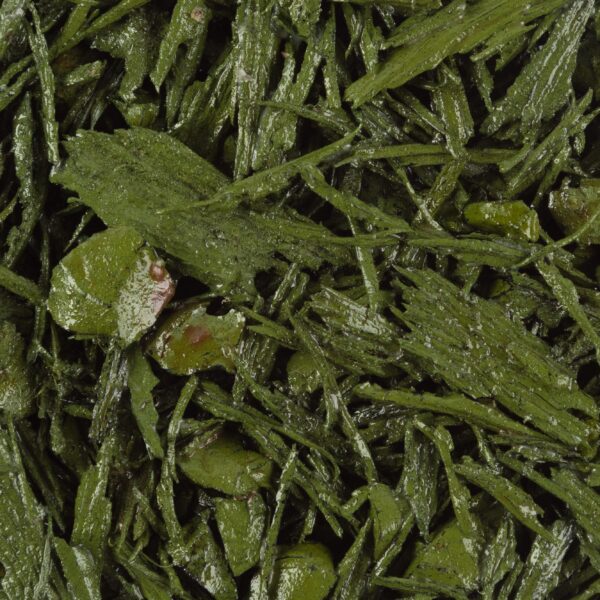 Rubber Mulch Sample - Spring Green | Small Bag